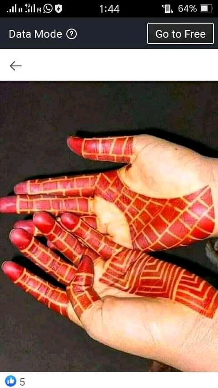 50 Beautiful Henna Designs and sellotape design cutting For the