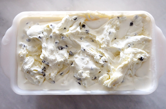 mint chocolate chip ice cream in freezer container