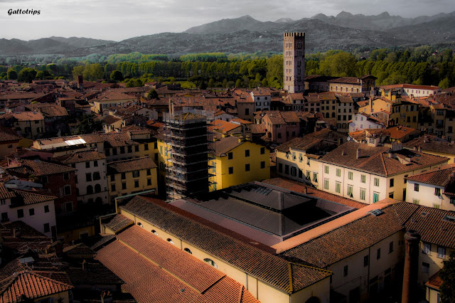 La Toscana - Rinascita - Blogs de Italia - Pietrasanta, Pistoia, Lucca y Pisa (6)