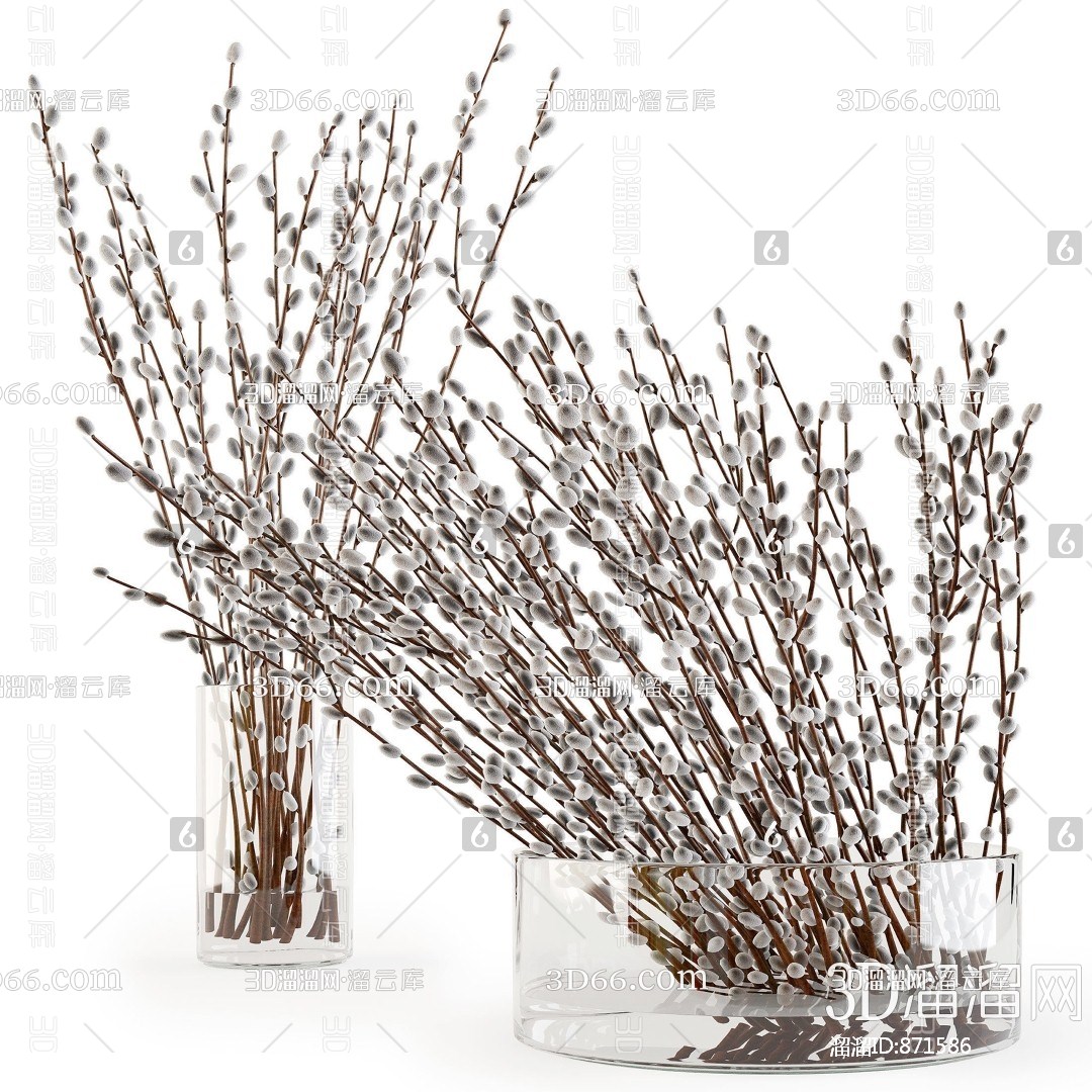 веточка эвкалипта. эвкалипт популус сухоцвет. сухие ветки в вазе. ваза с ветками. декор из веток для интерьера.