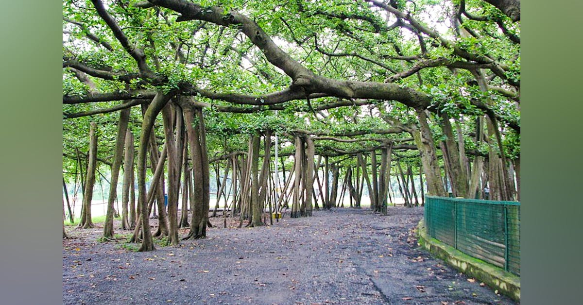 NCERT SOLUTIONS Taxonomical Aids Definition, Examples, Types (Botanical Garden, Zoological