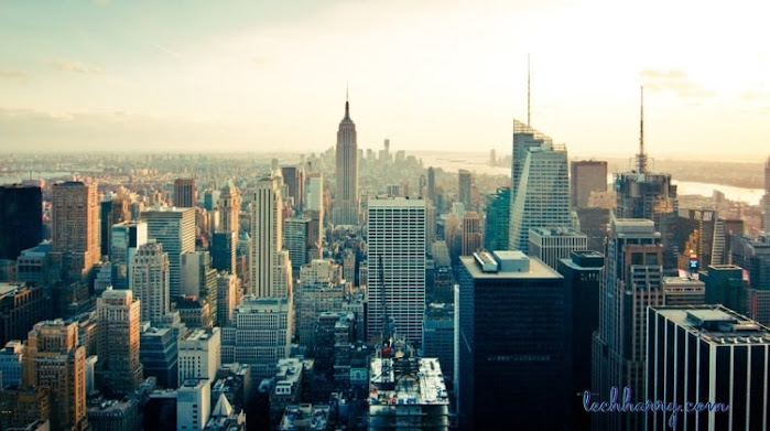 Best sites to find a job in New York