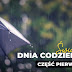 Świadectwo dnia codziennego - część #1