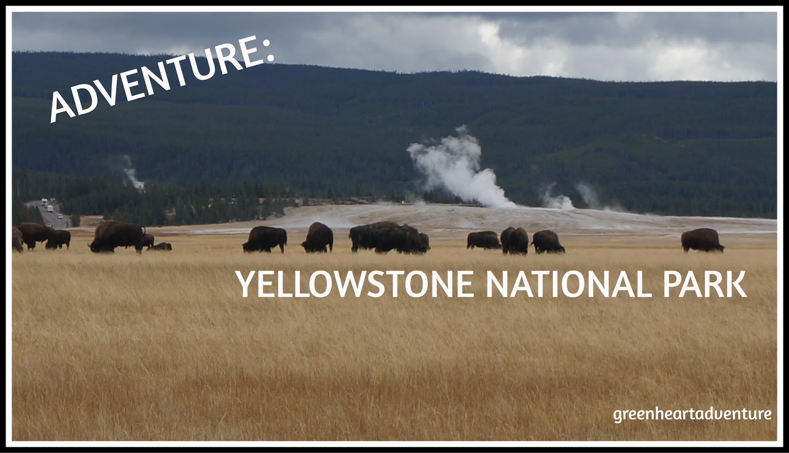 Yellowstone National Park