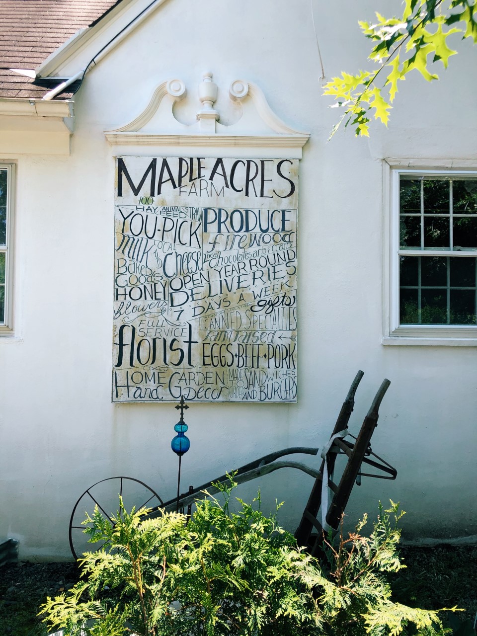 Flower Picking at Maple Acres Farm Organized Mess