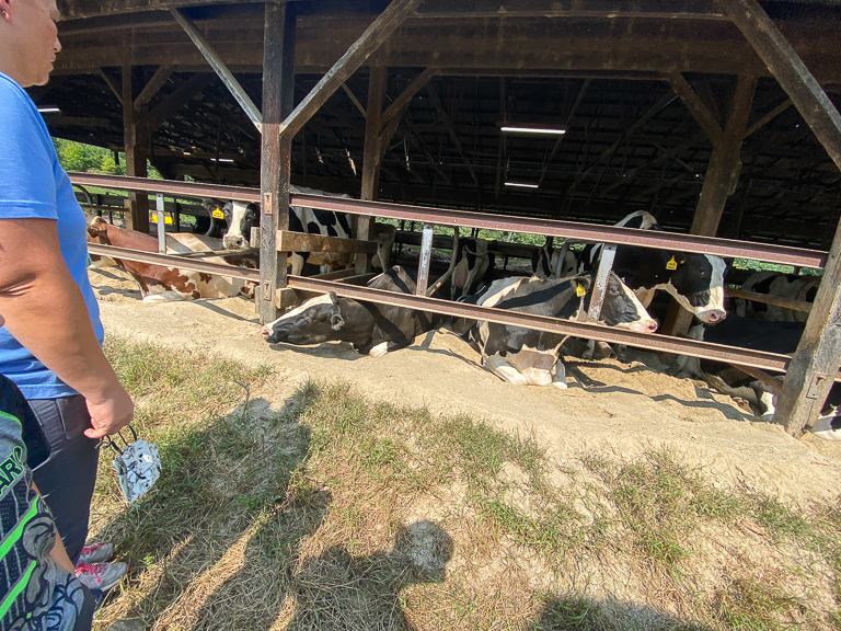 Tales of the Flowers Contoocook Creamery at Bohanan Farms Chocolate