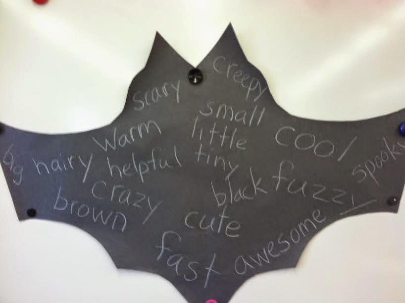 Carolyn's Classroom Bat Week in Mrs. Gentile's Class!