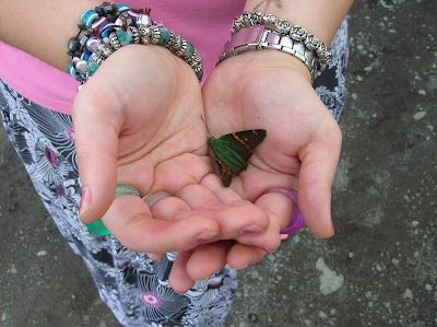 Mariposa, Costa Rica, vuelta al mundo, round the world, La vuelta al mundo de Asun y Ricardo, mundoporlibre.com