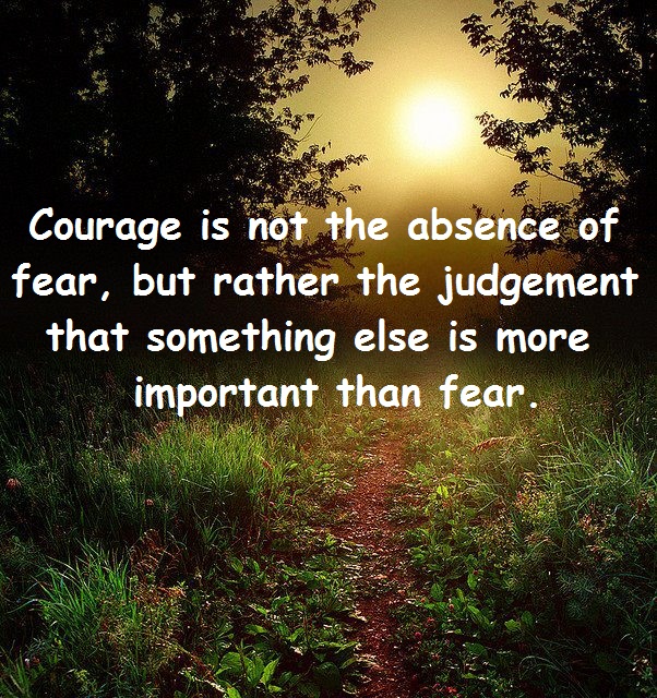 I learned that courage was not the absence of fear but the triumph over it....