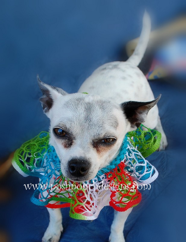 Posh Pooch Designs Dog Clothes Lace Ruffle Dog Collar