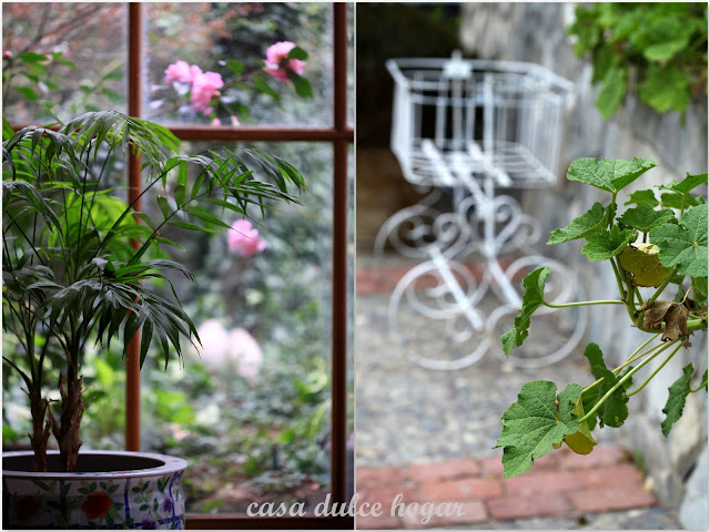 casa dulce hogar: Por el jardín y la casa a mediados de invierno