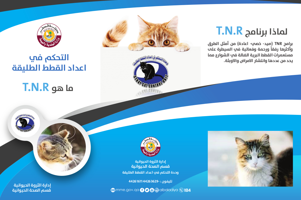 TNR Qatar Government Vet