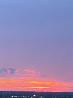 Purple Haze
