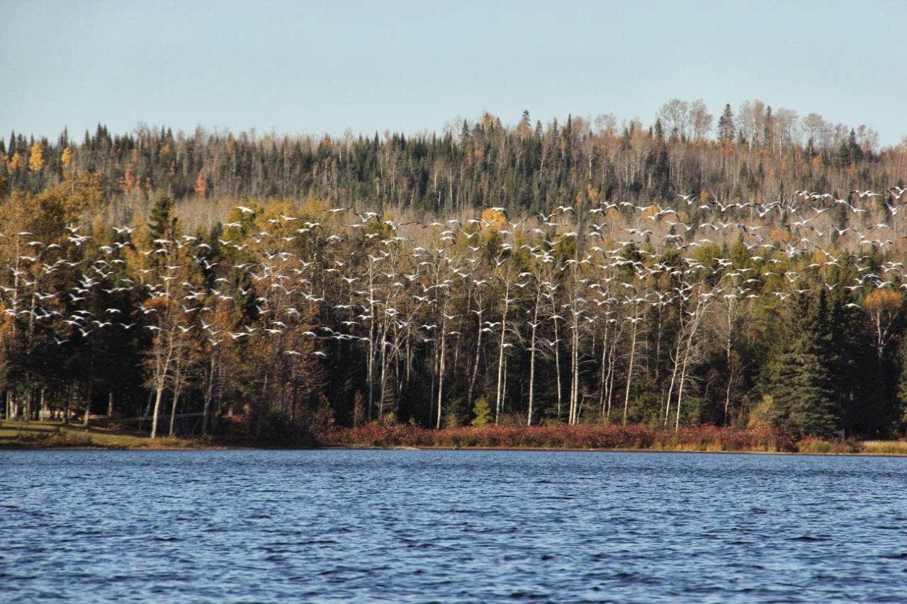 Nos voyages.... Petite sortie au Lac Humqui