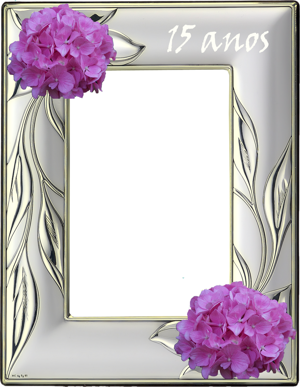 Moldura Aniversario De 15 Anos Molduras Digitais Online