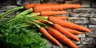 Carrots tor good eyesight