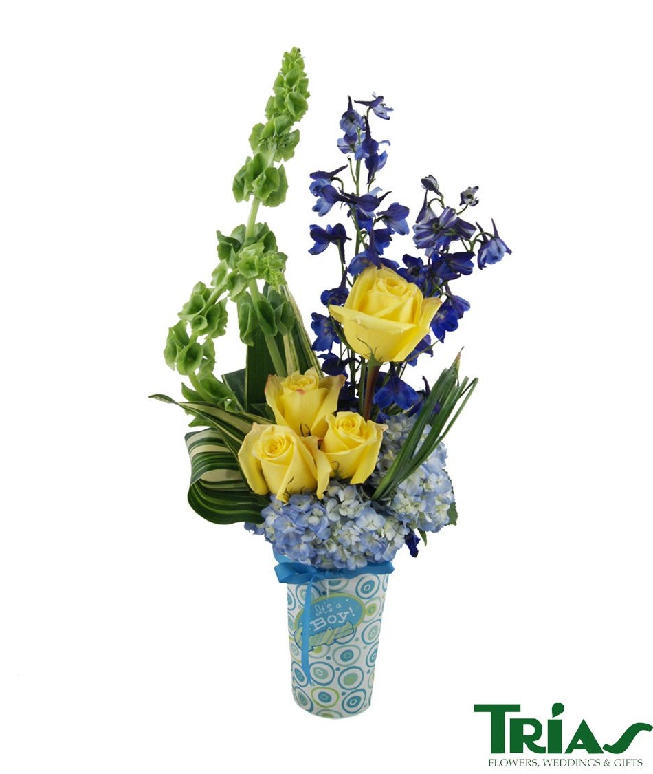 TRIAS FLOWERS FLOWER HOME DELIVERY FLORIDA Flower Home Delivery