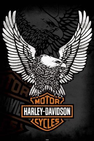 Betst Harley Davidson Logo Wallpaper for Android