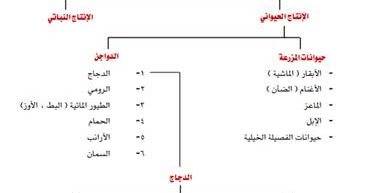 كتاب تربية الدجاج اللاحم pdf كتاب تربية الدجاج اللاحم pdf