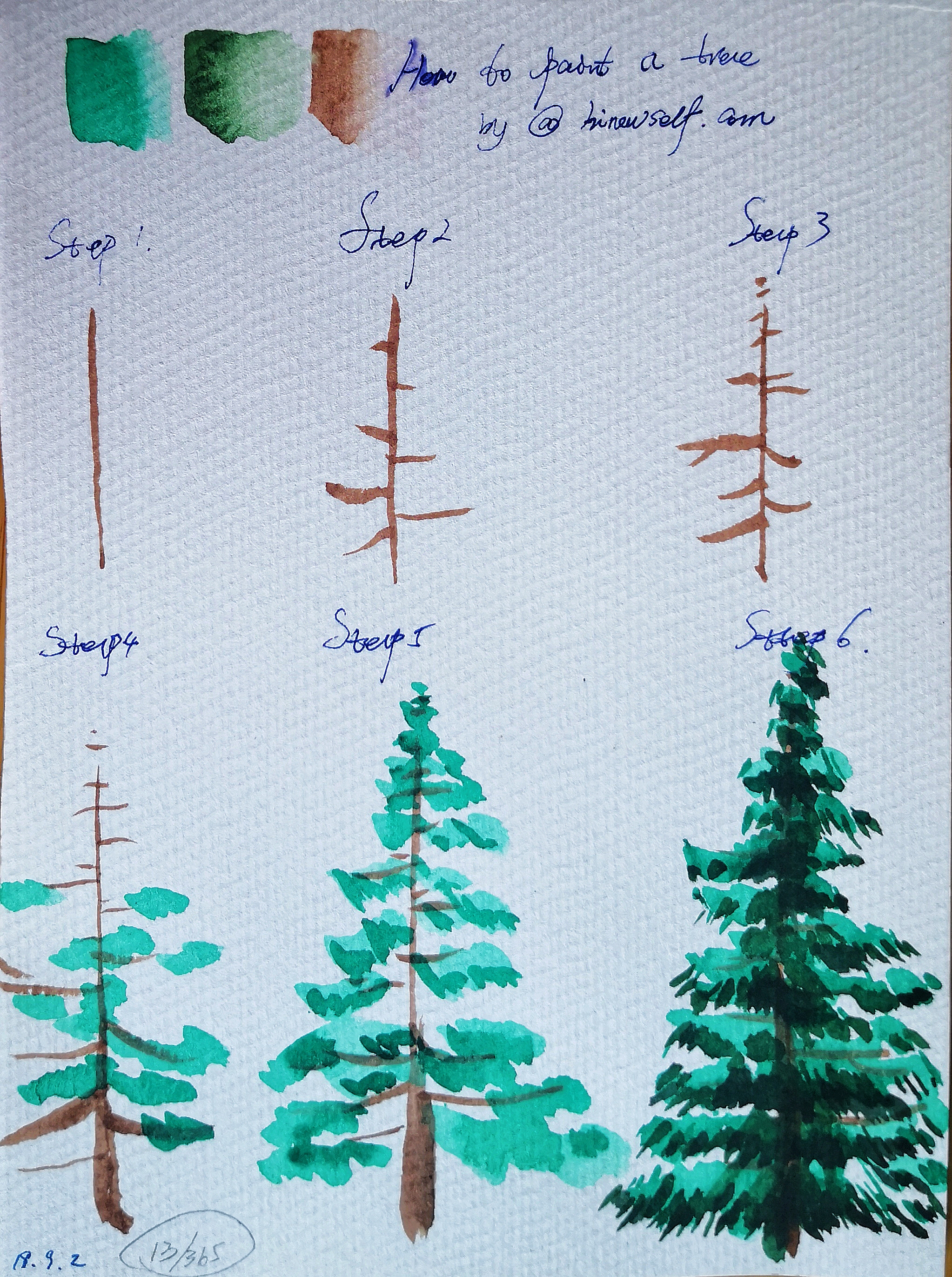 How to draw Watercolor pine Tree for beginner