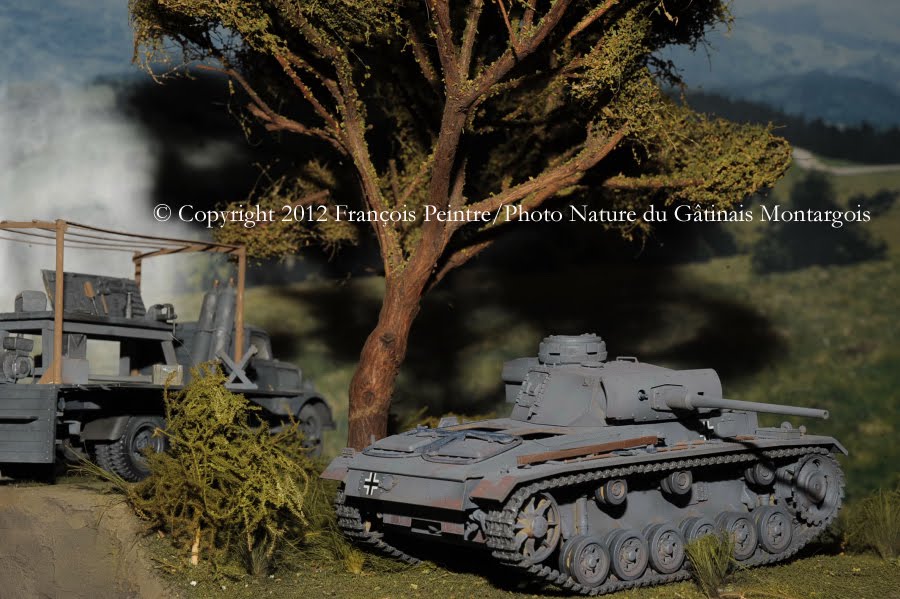 Panzer III ausf L