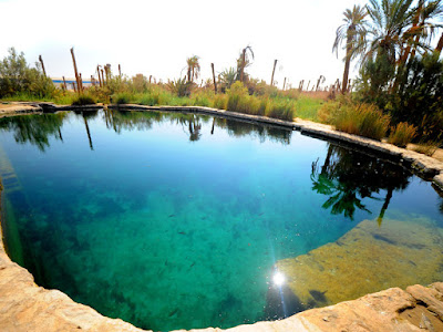 Bahariya Oasis - Oasis Safari Egypt