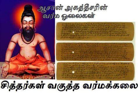வர்மக்கலை என்னும் தமிழனின் தற்காப்பு கலை | The Ancient Martial Art Of Tamil Nadu.