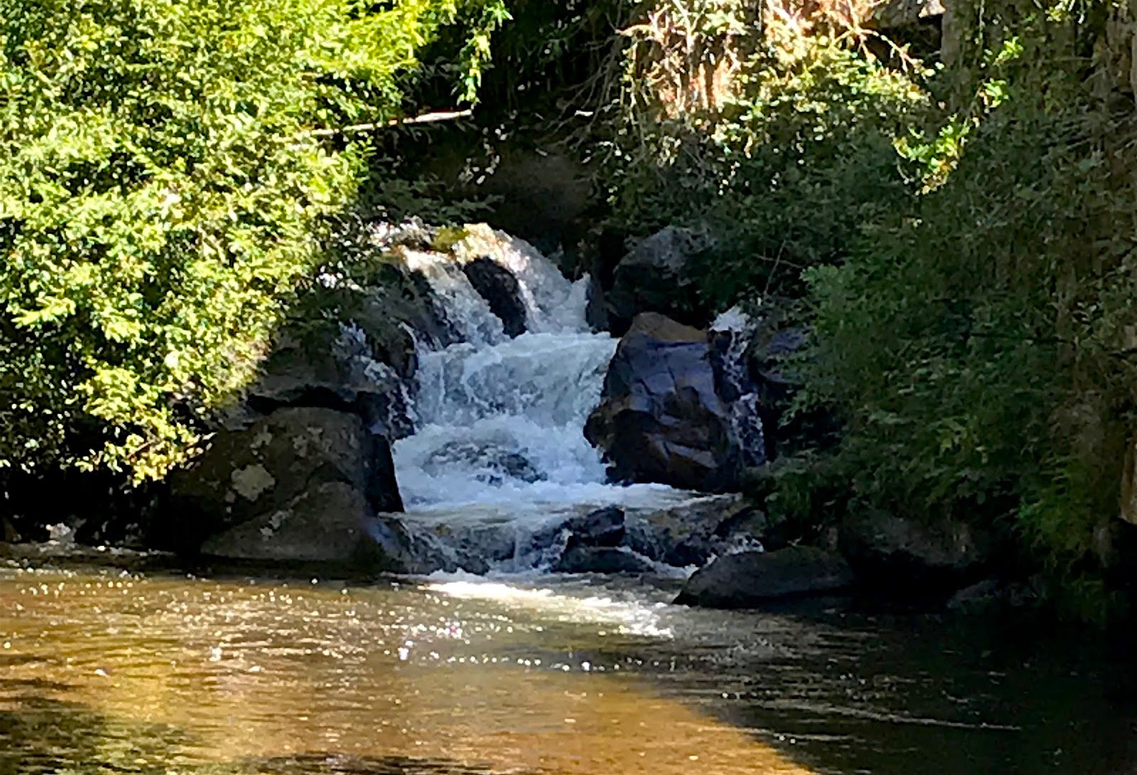 Visite du moulin à papier de Brousses et Villaret Comme On Est