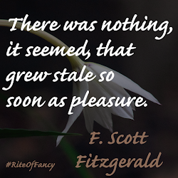 damned fitzgerald scott pondered questions reading while