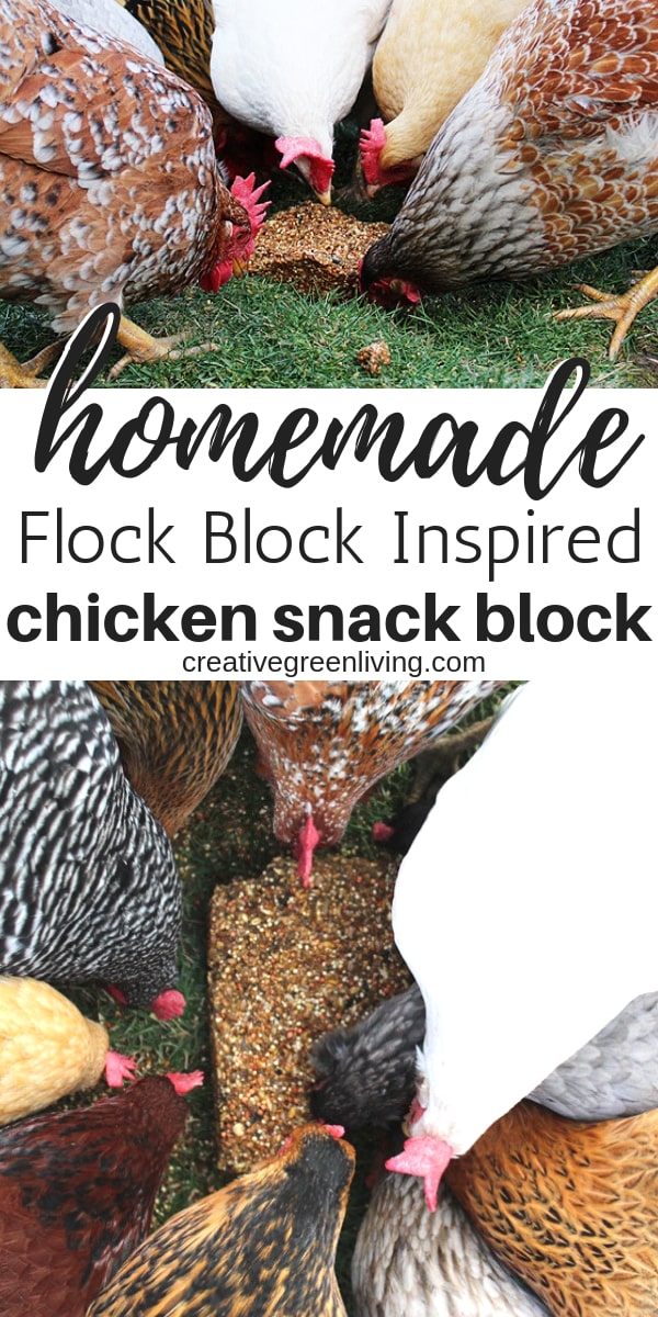 How to Make a Snack Block for Your Flock a DIY Flock Block® Copycat