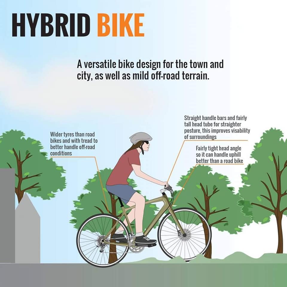 hybrid bike