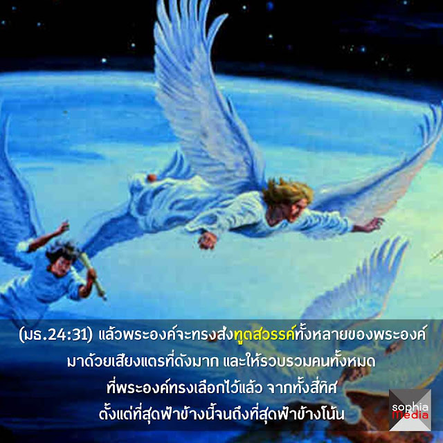 My Image 74