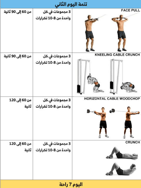 جدول تمارين كمال الاجسام للمبتدئين