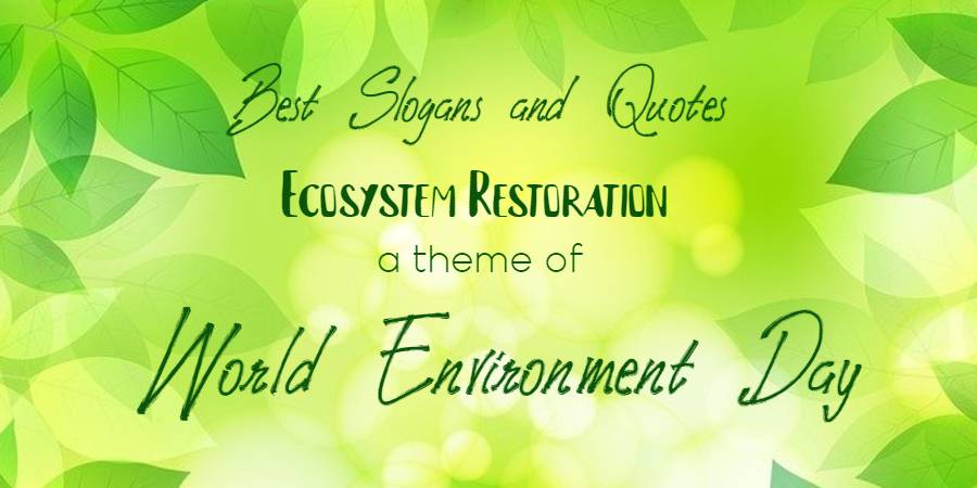 Popular Environment Slogans on Ecosystem Restoration – Environment quotes,  messages with posters