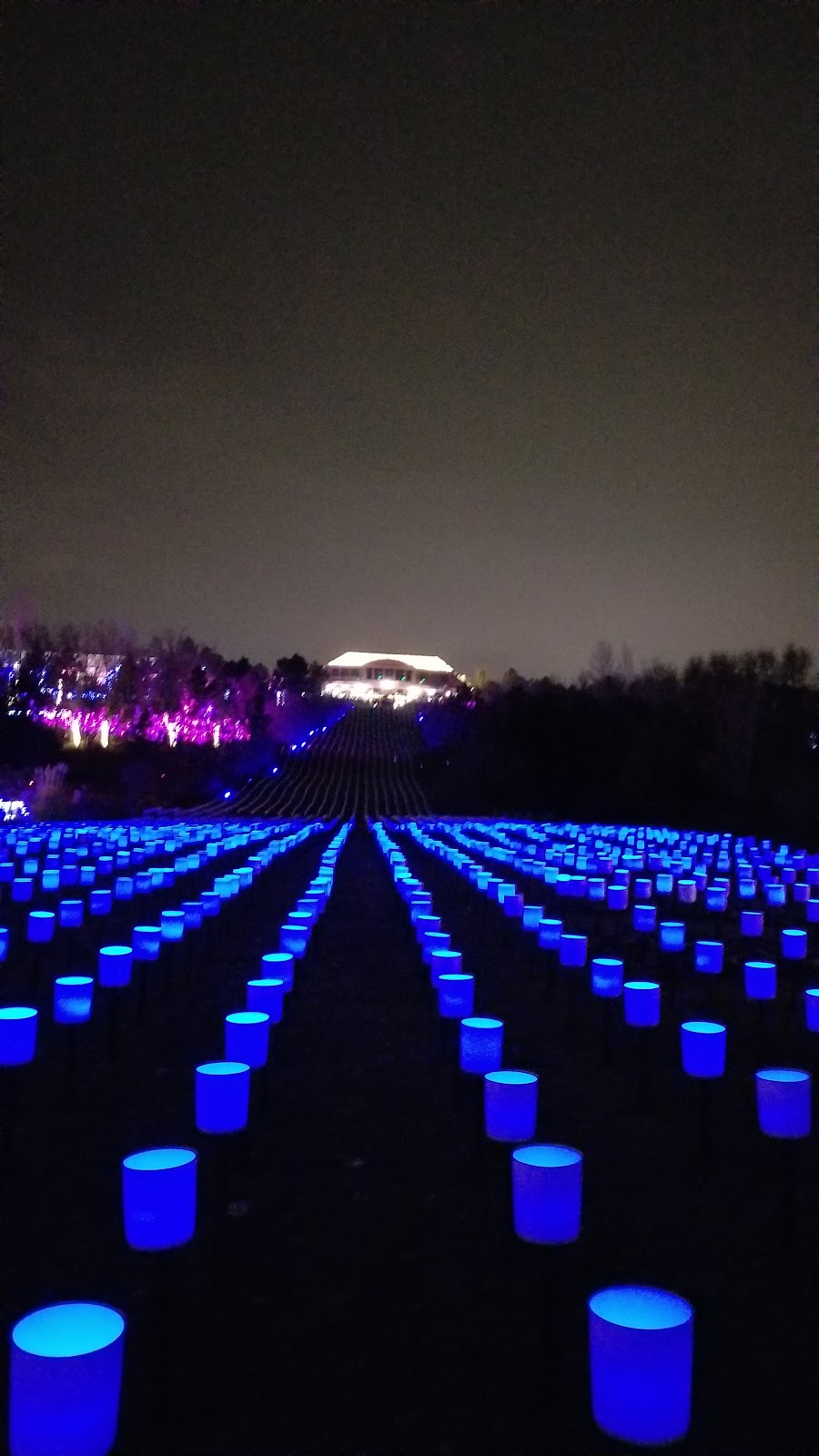 Stacie's Place II Luminaria Experience at Thanksgiving Point