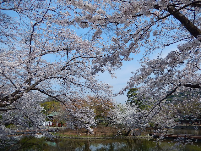 �߉������{�����r�̍�