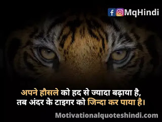 Tiger Status In Hindi Tiger Status In Hindi