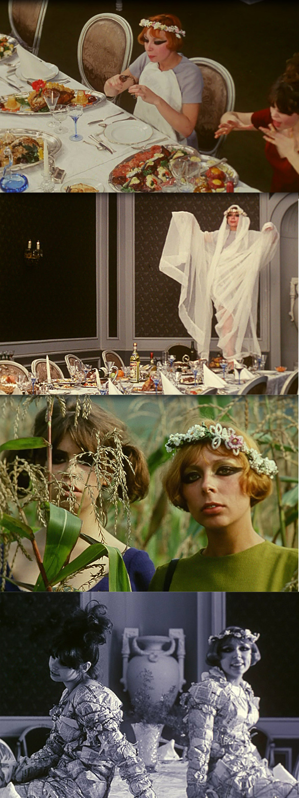 MyCatMabel Daisies film review