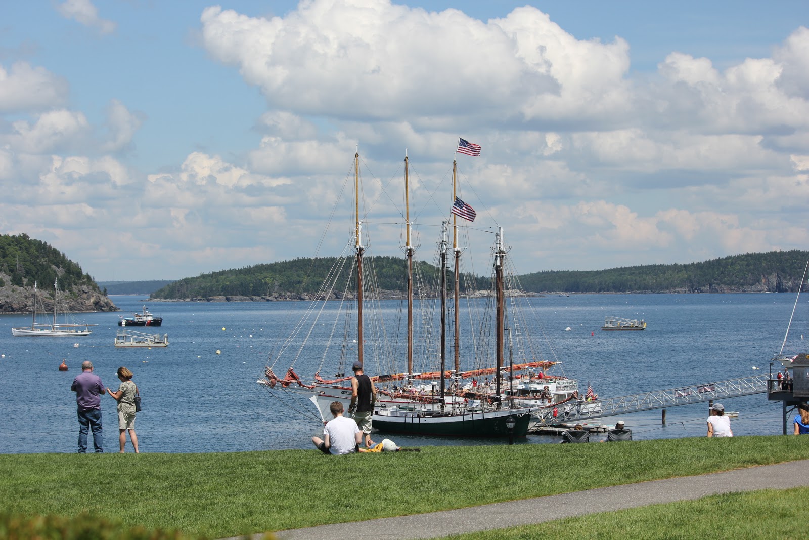 The Traveling Manatees By Nancy French