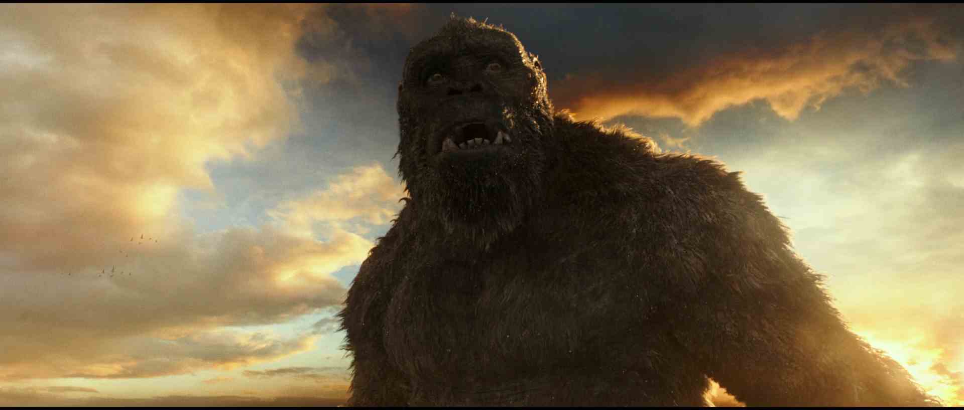 Godzilla vs Kong 2021 1080p Latino 2
