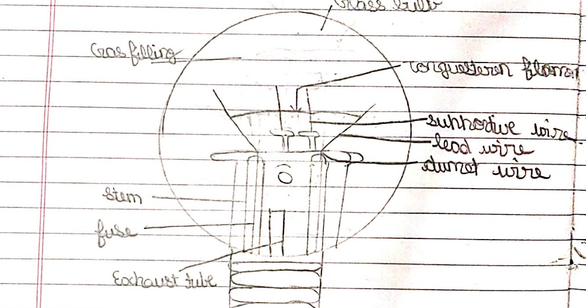 Electrical Standards Electric Bulb parts and their functions
