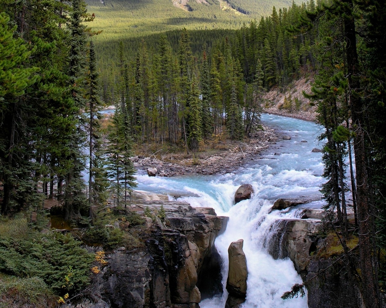 Зона тайги воды. Бореальный лес Канады. Бореальные леса Северной Америки. Национальный парк Джаспер, Канада водопад.