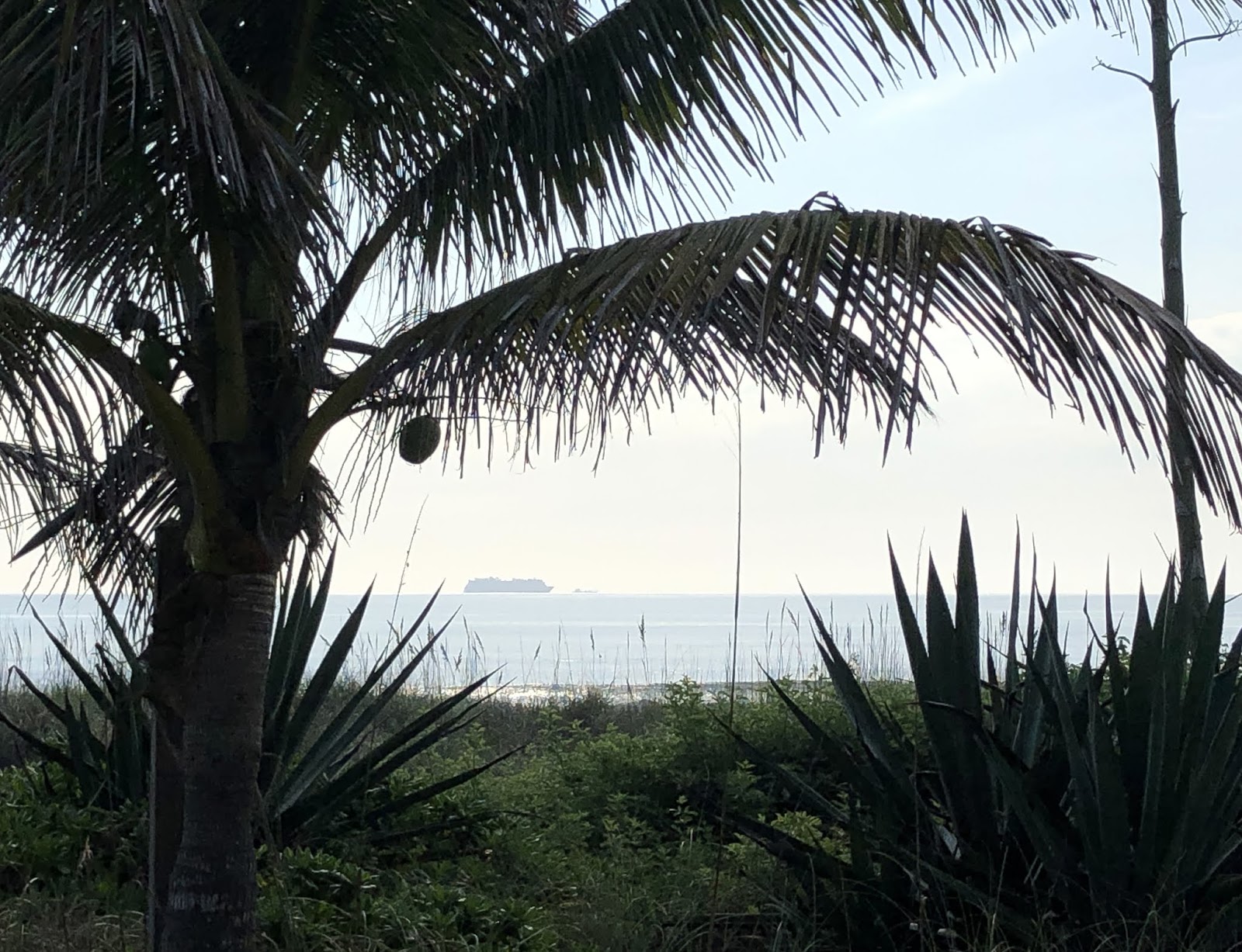 Larry's Take on the Cocoa Beach Real Estate Market Now the ISS. Then