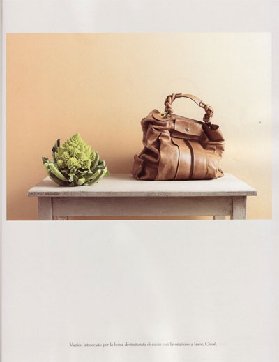 {work of art: photographic still lifes}