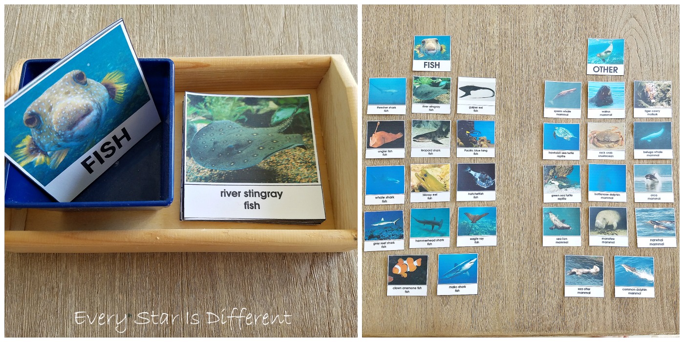 Montessori-inspired Fish Activities for Kids with Free Printable ...