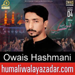 https://humaliwalaazadar.blogspot.com/2019/08/owais-hashmani-nohay-2020.html