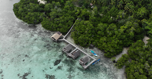 papua destinasi wisata hijau papua destinasi wisata hijau