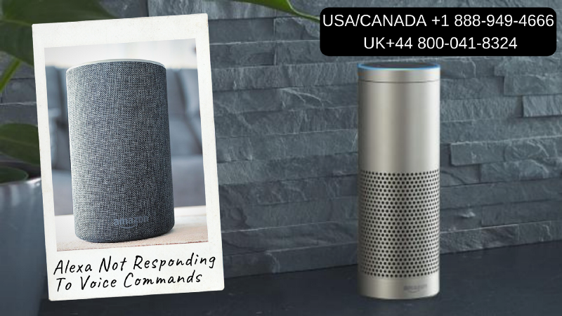 amazon echo not responding to voice