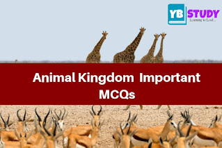 Animal kingdom MCQ for NEET