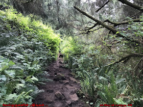 Mount Neahkahnie Hike Oregon